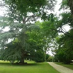 Gasthuis Orangerie Du Chateau Marith - Tonneins Aiguillon Marmande - Sejour Touristique Et Soiree Etape 3*