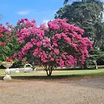Orangerie Du Château Marith - Domaine Avec Piscine Clairac (Lot-et-Garonne)