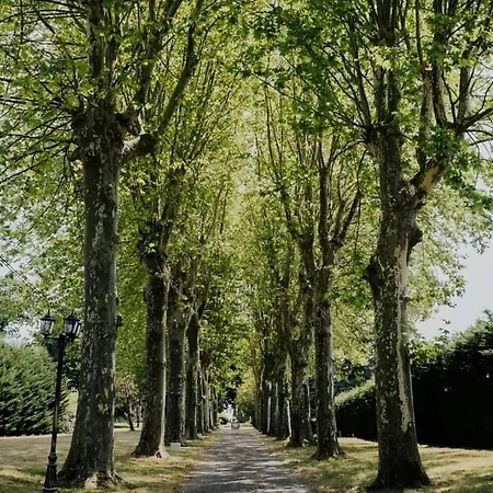Orangerie Du Chateau Marith - Domaine Avec Piscine Gasthuis Clairac (Lot-et-Garonne)