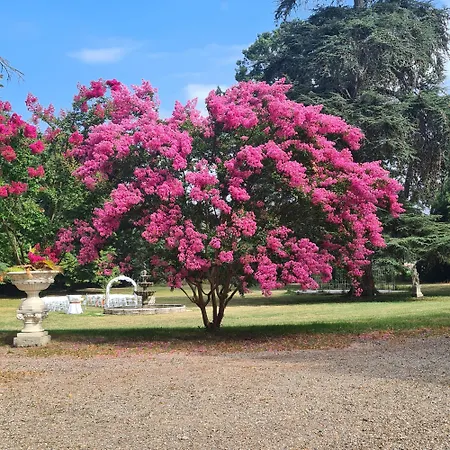 Orangerie Du Château Marith - Tonneins Aiguillon Marmande - Touristique Et Soirée étape Clairac (Lot-et-Garonne)