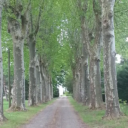 Orangerie Du Château Marith - Et Avec Piscine